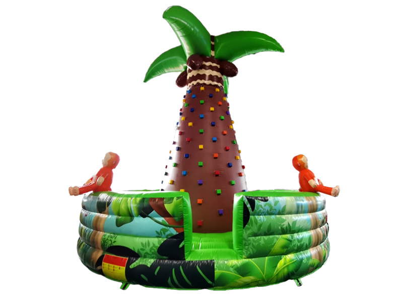 inflatable bouncy castle with slide