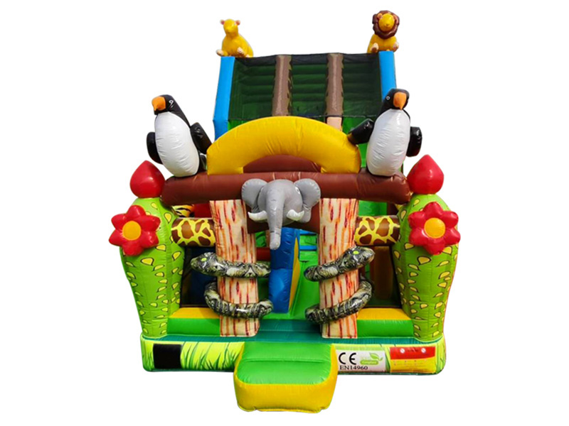 inflatable slide for adults