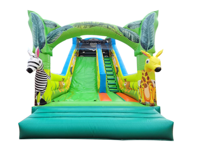 inflatable dry slide