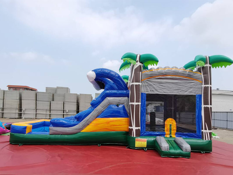 jumping house water slide jumping house water slide